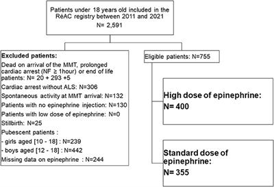 High dose of epinephrine does not improve survival of children with out-of-hospital cardiac arrest: Results from the French National Cardiac Arrest Registry